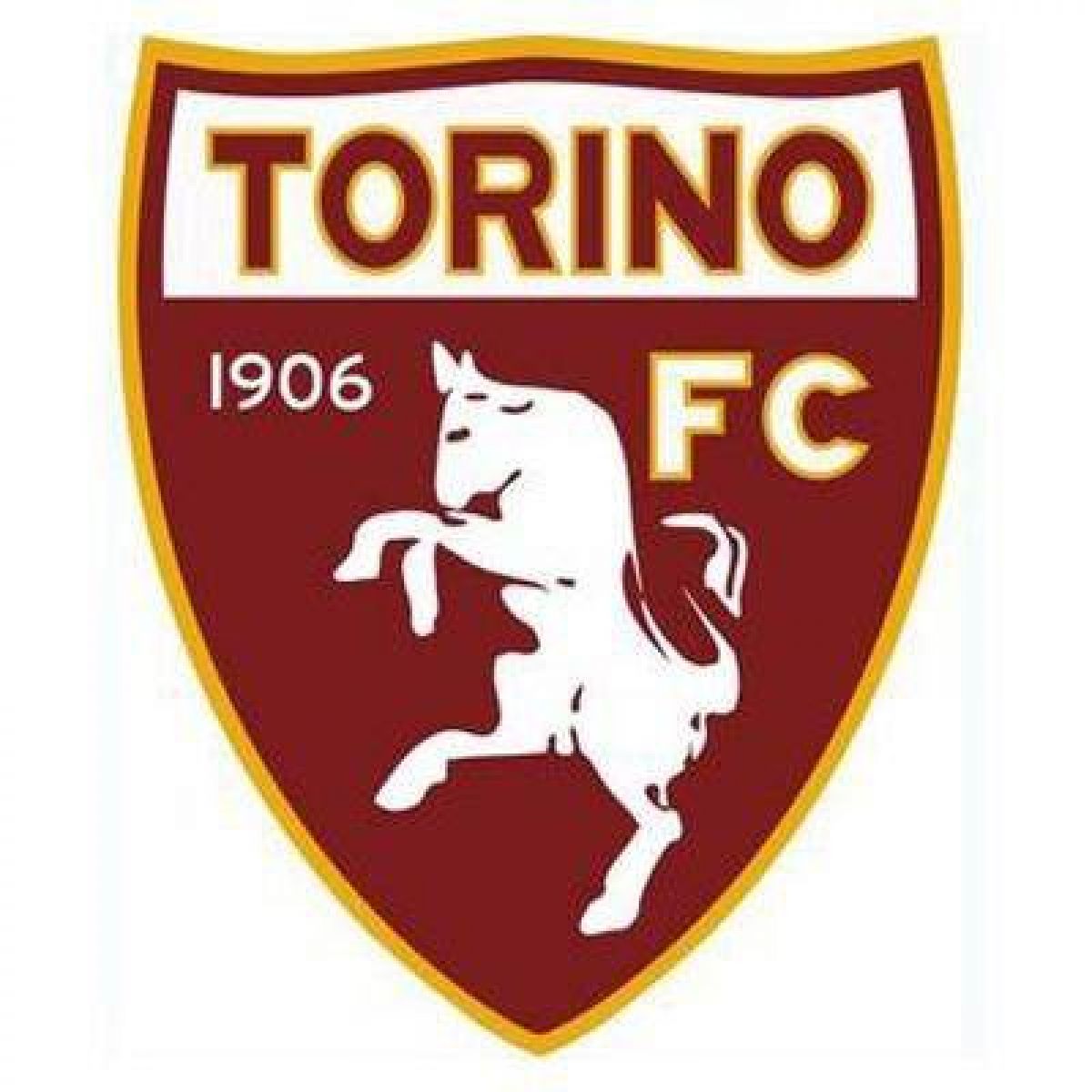 @Mati_Martinez #Independiente espera que lo autoricen las autoridades bancarias para girarle 500 mil USD más al #Torino.